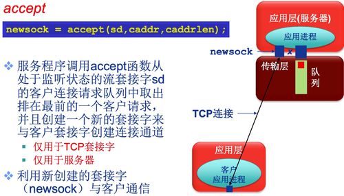 开荒网络 Socket编程的精髓
