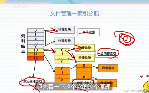 软考软件设计师 存储管理 文件管理 计算机网络 中