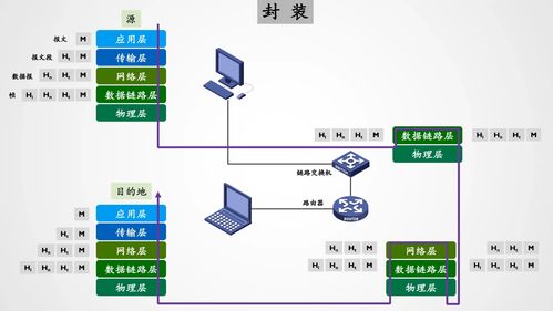 计算机网络概论与系统工程服务精解